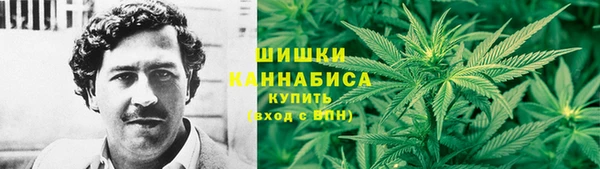 прущий лед Богданович
