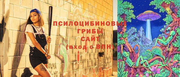 спиды Богородицк