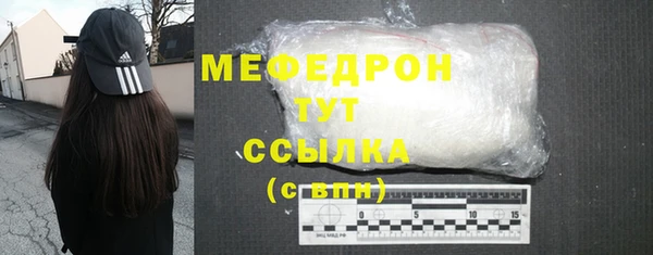 спиды Богородицк