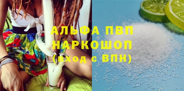прущий лед Богданович