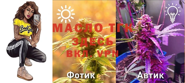 спиды Богородицк