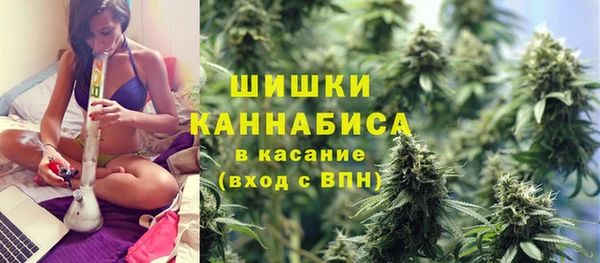спиды Богородицк