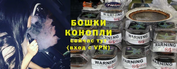 спиды Богородицк
