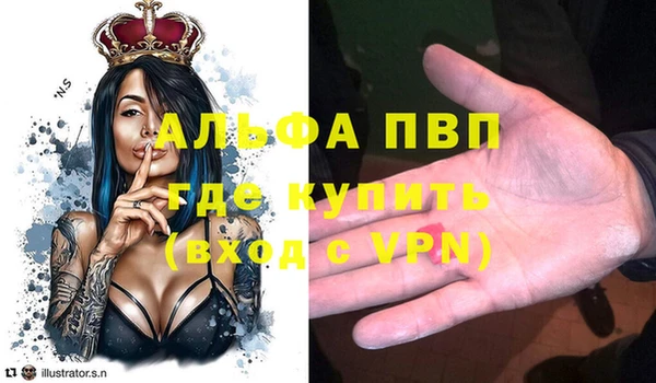 прущий лед Богданович