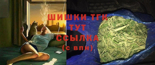 прущий лед Богданович