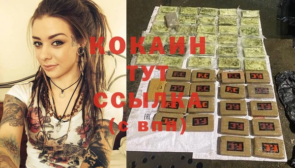 спиды Богородицк