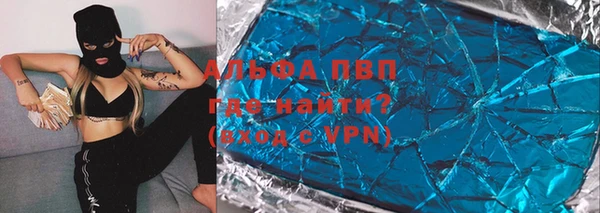 спиды Богородицк