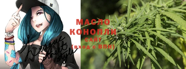 спиды Богородицк