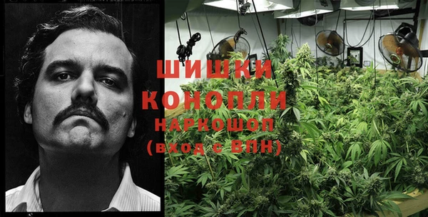 прущий лед Богданович