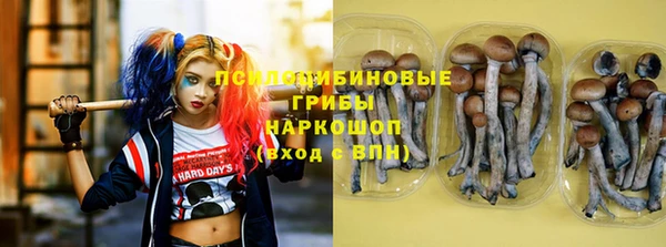 марки lsd Богородск