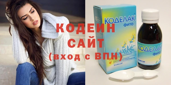 спиды Богородицк