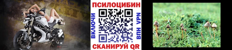 даркнет сайт Кондопога Галлюциногенные грибы Magic Shrooms